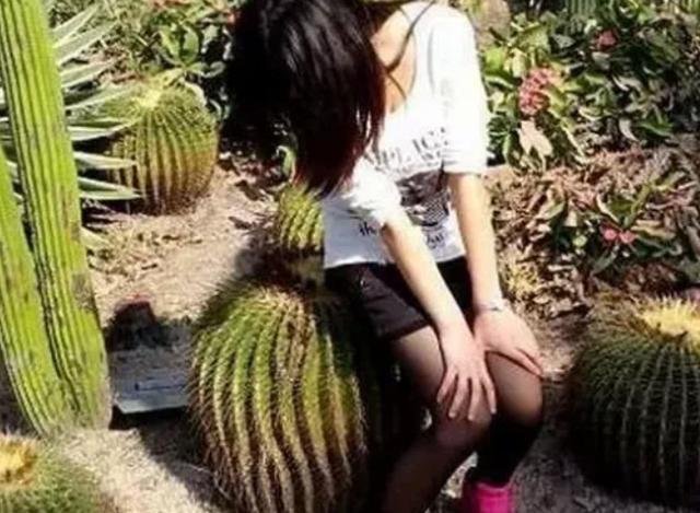 搞笑GIF趣图：姑娘你想什么呢，这可是一个仙人掌